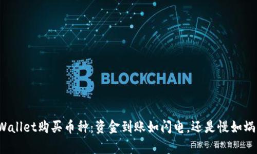 TPWallet购买币种：资金到账如闪电，还是慢如蜗牛？