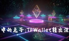 “转账像迷雾中的兔子：
