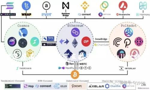 关于TPWallet的激活时间，具体情况可能会有所不同。一般来说，TPWallet的激活可能需要一些时间，这与网络状态或平台的处理速度有关。建议您直接查看TPWallet的官方说明或用户支持文档，以获取最准确的信息。如果您有特定的激活问题或延迟，联系他们的客服通常是一个很好的解决方案。

如果您需要更详细的信息或指导，请让我知道我能帮您解答的其他问题！